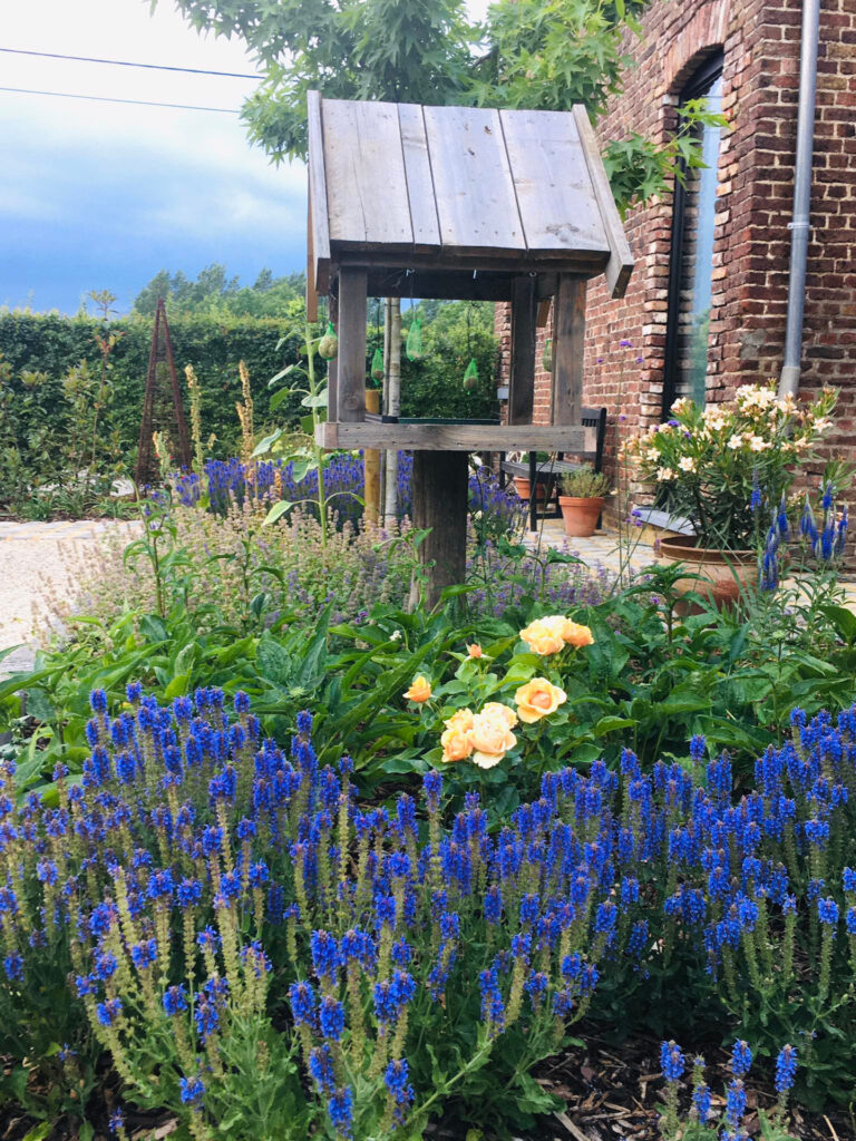 Tuinonderhoud18_1440x1920