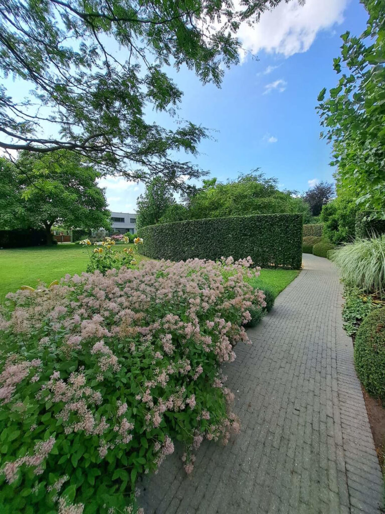 Tuinonderhoud19_1440x1920